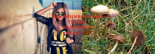 spice Елабуга
