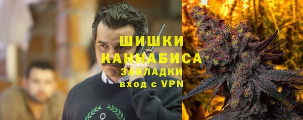 spice Елабуга