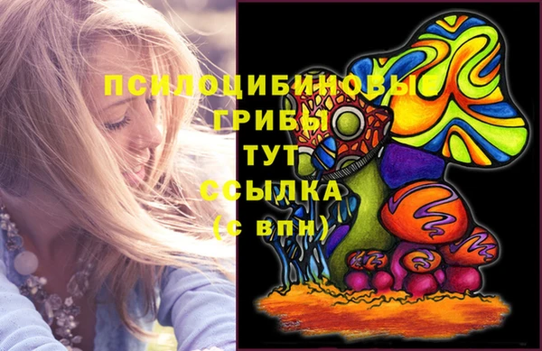 spice Елабуга